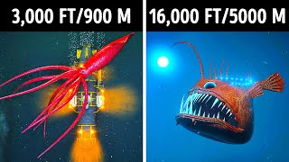 Fascinating 3D Journey to the Ocean Depths [upl. by Harilda]