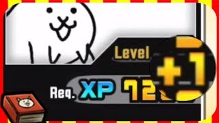 Battle Cats Beginners Guide  An Introduction to Plus Levels S1E5 [upl. by Haleemak650]