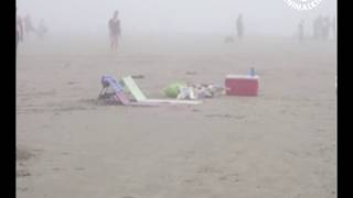 Sneaky seagull steals food from beachgoers [upl. by Schuyler]