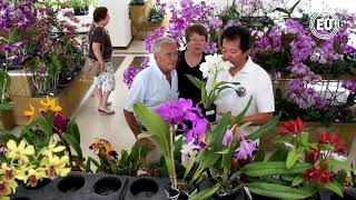 La orquídea entre las 20 flores más exportadas de Ecuador [upl. by Nickey]