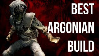 The Wanderer  Best Argonian Build  Skyrim Builds [upl. by Dahaf]