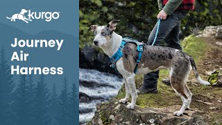 The Journey Air Dog Harness  Adventure in comfort [upl. by Rhonda]