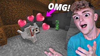 I FOUND THE CUTEST DOG IN MINECRAFT Part 5 [upl. by Ayoted]