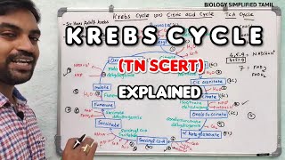 Krebs cycle in tamil  TNSCERT  Senthilnathan [upl. by Enilarak]