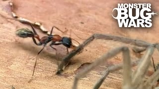 Epic Ant Battles 2  MONSTER BUG WARS [upl. by Eenehs]