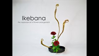 Ikebana Howto the Taterukatachi stepbystep [upl. by Arch551]