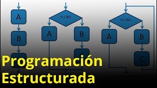 Programación estructurada [upl. by Ahsiekit]