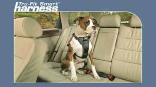 Tru Fit Smart Harness from Kurgo [upl. by Arela]