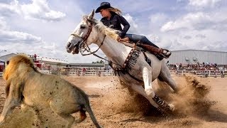 7 Raças De Cavalos Mais Selvagens Do Mundo [upl. by Wakefield]