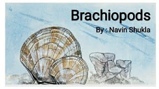 BrachiopodsByNavin ShuklaLasthope [upl. by Euv]