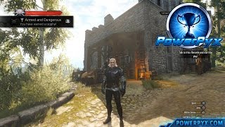 The Witcher 3 Wild Hunt  Griffin Witcher Gear Set Locations Armed and Dangerous Trophy [upl. by Roleat]