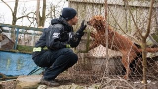 100 Animals Rescued from Neglect [upl. by Anaher]