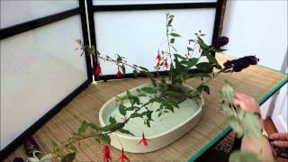 Ikebana in 10 minutes Part 2 [upl. by Neyud]