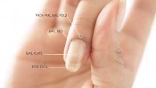 HOW TO REMOVE CUTICLES WITHOUT BLEEDING  abetweene [upl. by Eelrak]