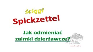 Jak odmieniać zaimki dzierżawcze  Ściąga  Niemiecki dla początkujących [upl. by Heeley195]