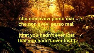 Andrea Bocelli  La Voce Del Silenzio English Translation [upl. by Amand]