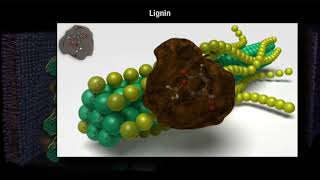 How Decomposition Works Part 1 [upl. by Aniryt582]