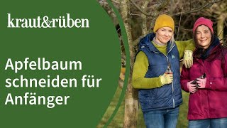 Apfelbaum schneiden 🍎  Apfelbaumschnitt für Anfänger [upl. by Roux]