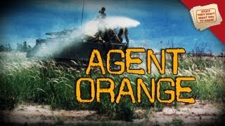 War and Health Agent Orange [upl. by Helmut]