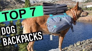 BEST DOG BACKPACKS 2020 [upl. by Mcnalley]