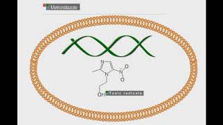 Metronidazole animation video [upl. by Tally]