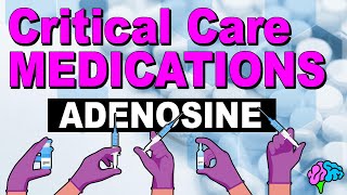 Adenosine  Critical Care Medications [upl. by Brodeur483]