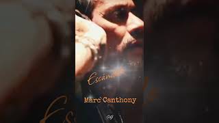 MARC CANTHONY ESCÁNDALO [upl. by Cherin]