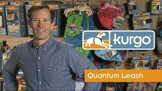 How to Use the Kurgo Quantum Dog Leash [upl. by Irvin]