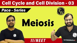 Cell cycle and cell division 03  Meiosis  Class 11  CBSE  NCERT  NEET [upl. by Aehsal]