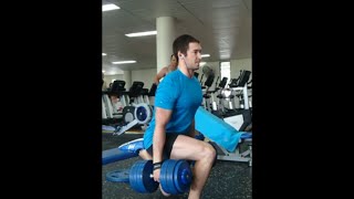 Dumbbell Bulgarian Split Squats  50kg for 7 reps 75kg bodyweight [upl. by Jorgensen639]