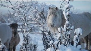 Oymyakon  the worlds coldest inhabited place [upl. by Aeel]