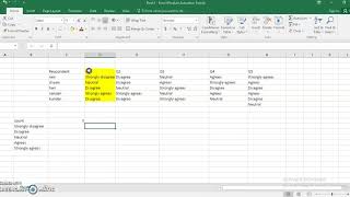 Results of Likert Scale on Excel [upl. by Crofton828]