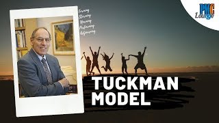 The Tuckman Model of Team Development  Tuckman Group Stages [upl. by Lanna]