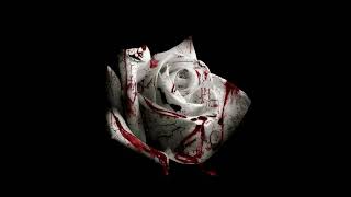 d4vd  Romantic Homicide Official Audio [upl. by Thia]