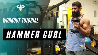 BIG BICEPS  Hammer curls  BIGLEE  WORKOU TUTORIAL [upl. by Kirad335]