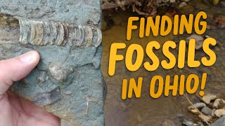 Finding Fossils in Ohio [upl. by Noiek263]