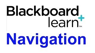 Navigating Your Course in Blackboard Learn [upl. by Damales603]