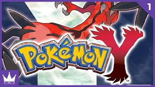 Twitch Livestream  Pokémon Y Randomizer Part 1 3DS [upl. by Narmis]