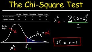 Chi Square Test [upl. by Tabatha]