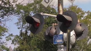 Vintage Operational Railroad Crossing Signals on Abandoned Line in Action [upl. by Berrie]