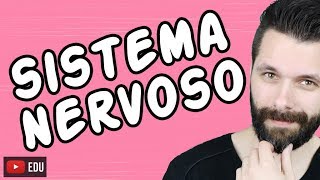 SISTEMA NERVOSO  FISIOLOGIA  Aula  Biologia com Samuel Cunha [upl. by Schroth452]