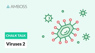 Viruses  Part 2 DNA vs RNA Viruses [upl. by Nibram]