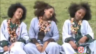 Mebre Mengistu  መብሬ መንግስቱ  Wollo lay yaleshiw  ወሎ ላይ ያለሽው [upl. by Oam]