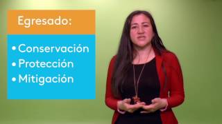 Areandina Virtual  Especialización en gestión ambiental [upl. by Eicnan]