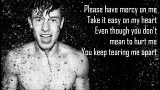 Mercy  Shawn Mendes LyricsHQHD [upl. by Dranoc]