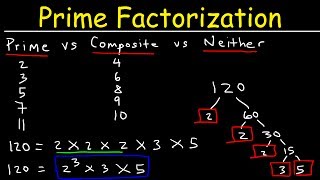 Prime Factorization Explained [upl. by Sallyanne295]