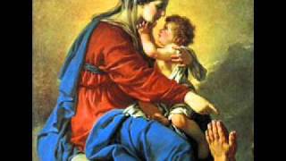 Salve Mater Misericordiae  Catholic Song of Praise to Mary [upl. by Oreves]