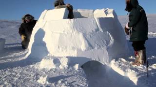 Building An Igloo [upl. by Neros]