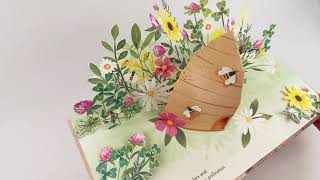 Flora A Botanical PopUp Book [upl. by Martz219]