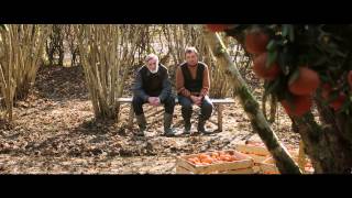 quotMandariinidquot treiler  Tangerines trailer [upl. by Yllor]